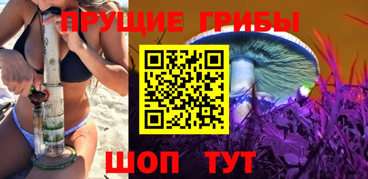 Карпинск  купить наркотик  Вход с VPN  Псилоцибиновые грибы Psilocybine cubensis 