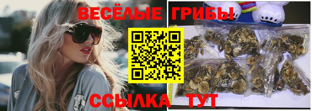 Галлюциногенные грибы ЛСД Карпинск